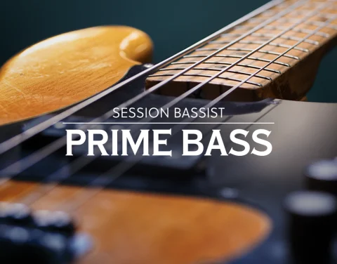 芬达电贝斯节奏音色库！Native Instruments Session Bassist Prime Bass v1.0.1 KONTAKT