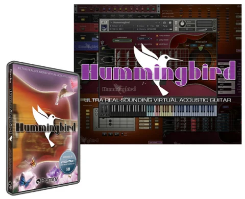 蜂鸟木吉他音源！Prominy Hummingbird v1.26 KONTAKT