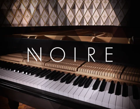 殿堂三角钢琴升级！Native Instruments Noire v1.2.0 KONTAKT